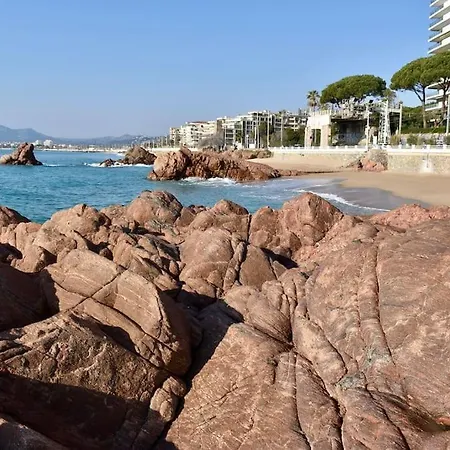 Bord De Apartment Cannes